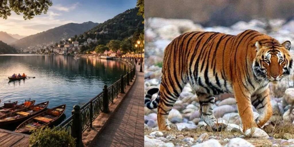 Naintal Jim Corbett Tour Package