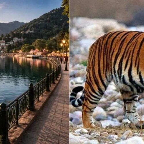 Naintal Jim Corbett Tour Package
