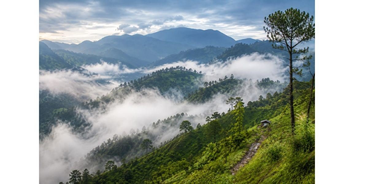 Magic of Misty Hills